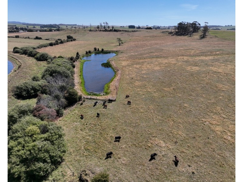 5129 Frankford Road, Thirlstane TAS 7307