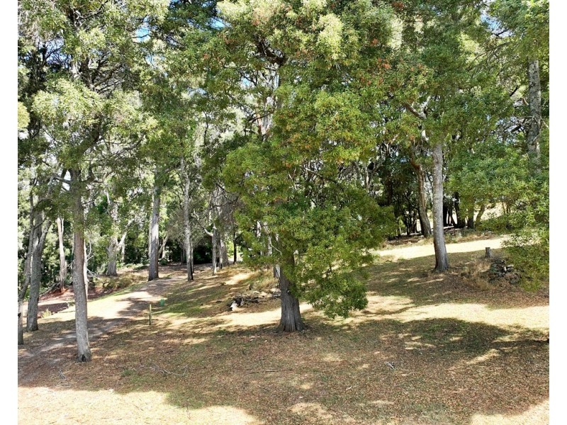 302 Old Paradise Road, Sheffield TAS 7306