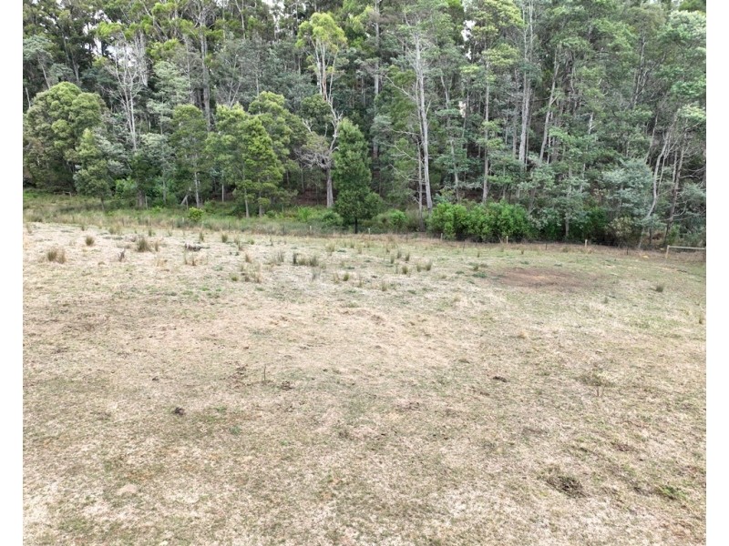 Lot 1 Castra Road, Abbotsham TAS 7315