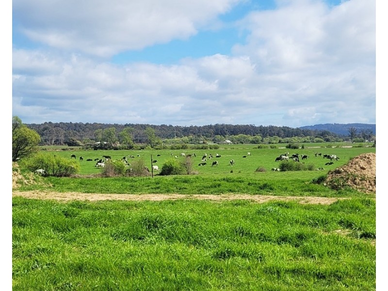 98 Hamilton Street, Latrobe TAS 7307