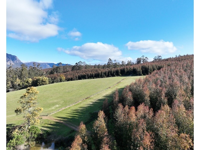 148 Holmes Road, Roland TAS 7306