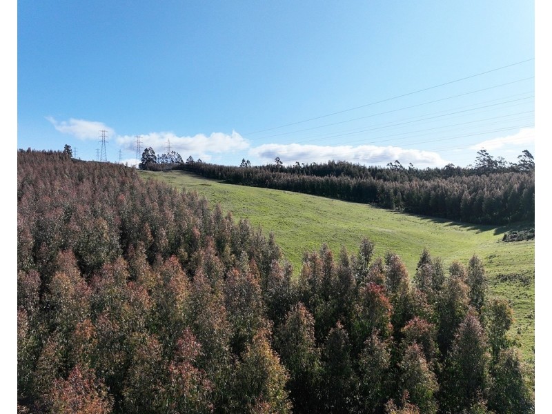 148 Holmes Road, Roland TAS 7306