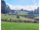 148 Holmes Road, Roland TAS 7306