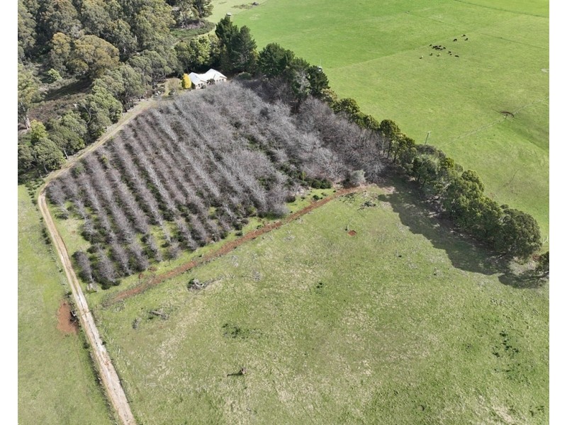 459 Warringa Road, Preston TAS 7315