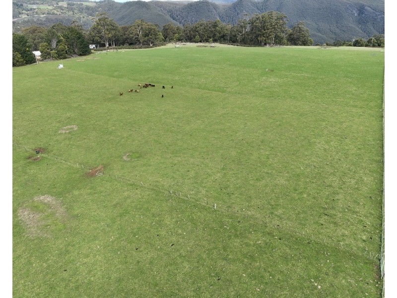 459 Warringa Road, Preston TAS 7315