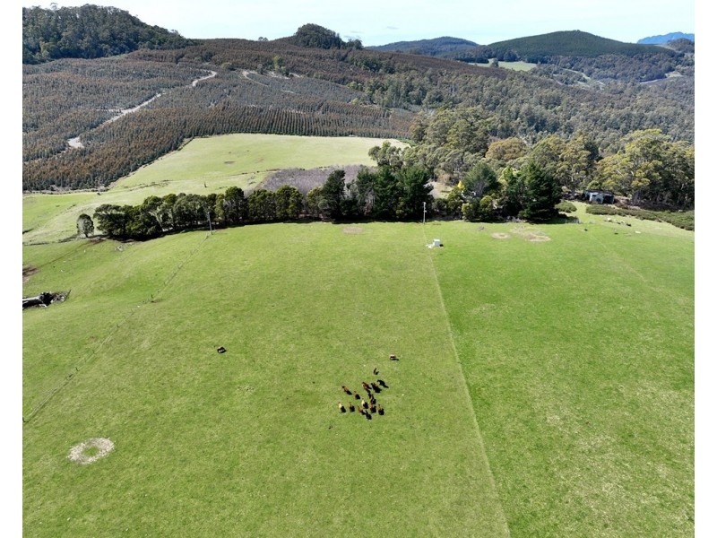 459 Warringa Road, Preston TAS 7315