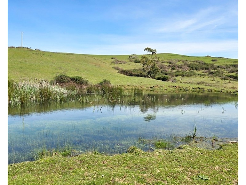 459 Warringa Road, Preston TAS 7315