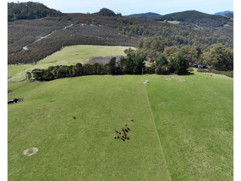 459 Warringa Road, Preston TAS 7315