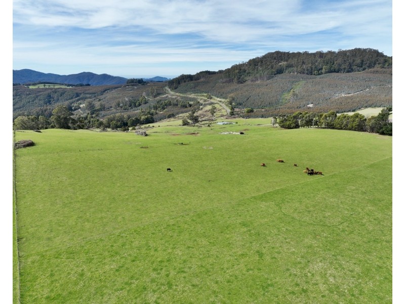 459 Warringa Road, Preston TAS 7315