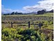108 Weeks Road, Barrington TAS 7306
