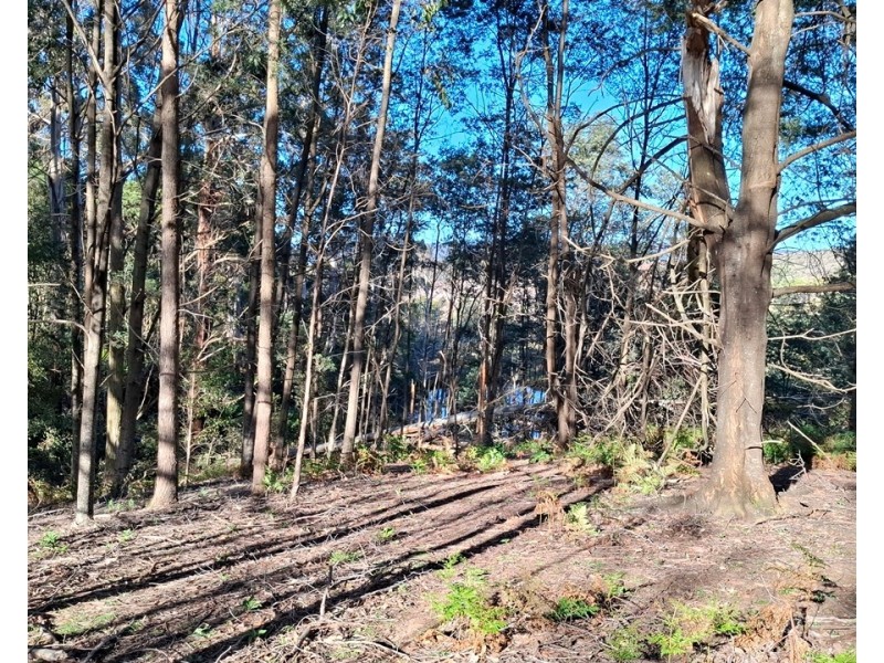 108 Weeks Road, Barrington TAS 7306