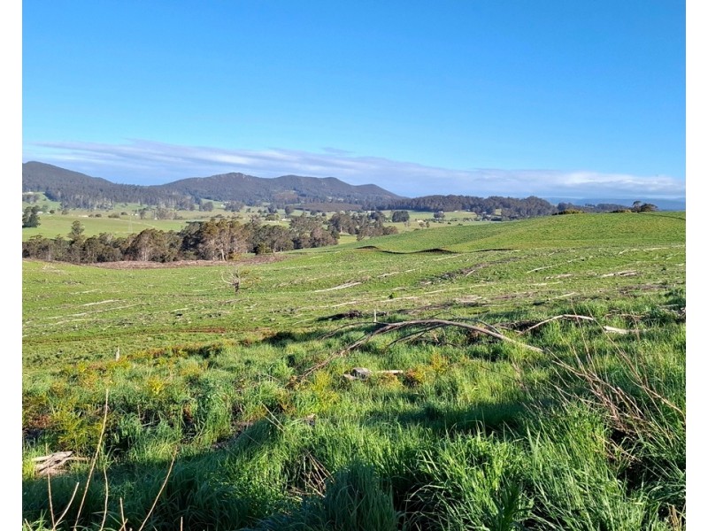 108 Weeks Road, Barrington TAS 7306