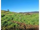 108 Weeks Road, Barrington TAS 7306