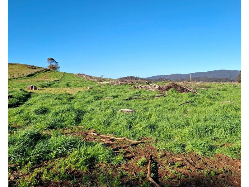 108 Weeks Road, Barrington TAS 7306