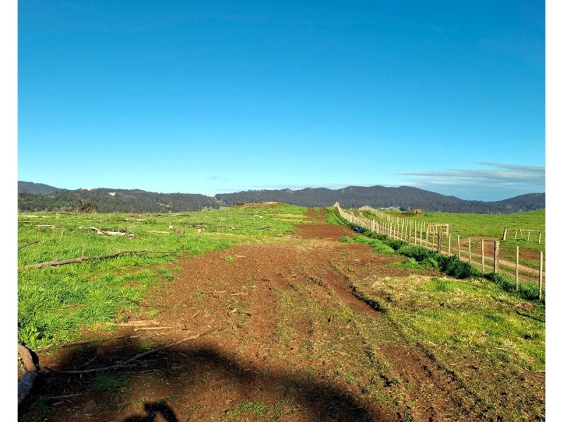 108 Weeks Road, Barrington TAS 7306
