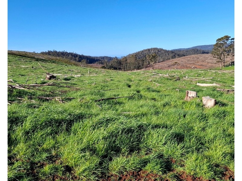 108 Weeks Road, Barrington TAS 7306