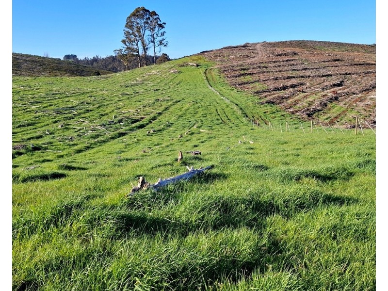 108 Weeks Road, Barrington TAS 7306