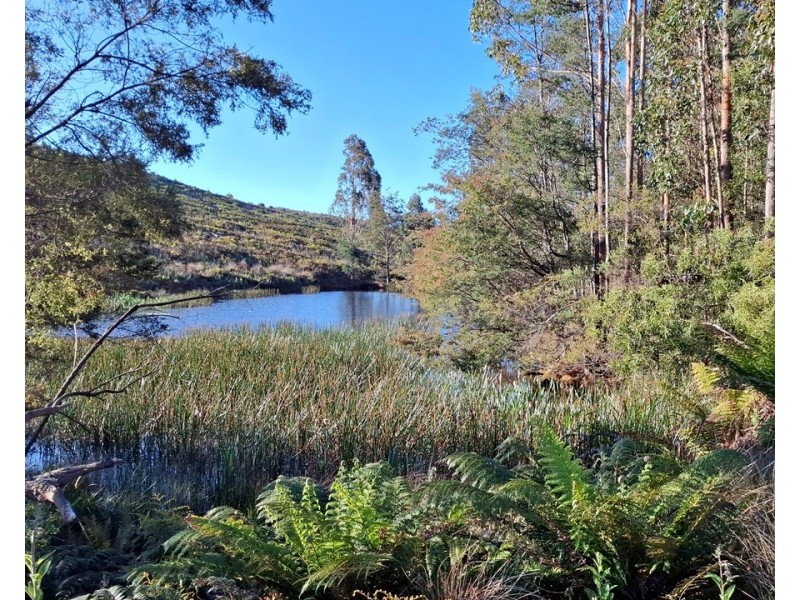 108 Weeks Road, Barrington TAS 7306