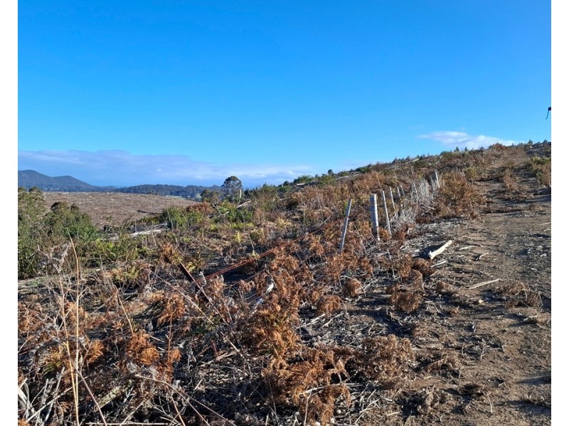 108 Weeks Road, Barrington TAS 7306