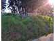 108 Weeks Road, Barrington TAS 7306