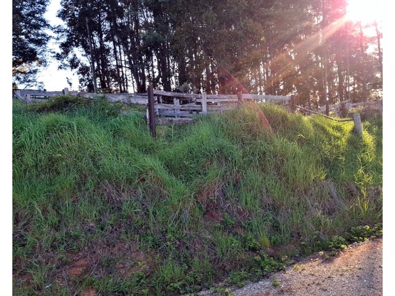 108 Weeks Road, Barrington TAS 7306