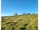 108 Weeks Road, Barrington TAS 7306
