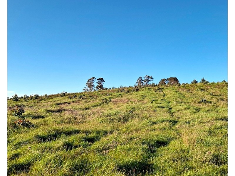 108 Weeks Road, Barrington TAS 7306
