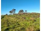 108 Weeks Road, Barrington TAS 7306