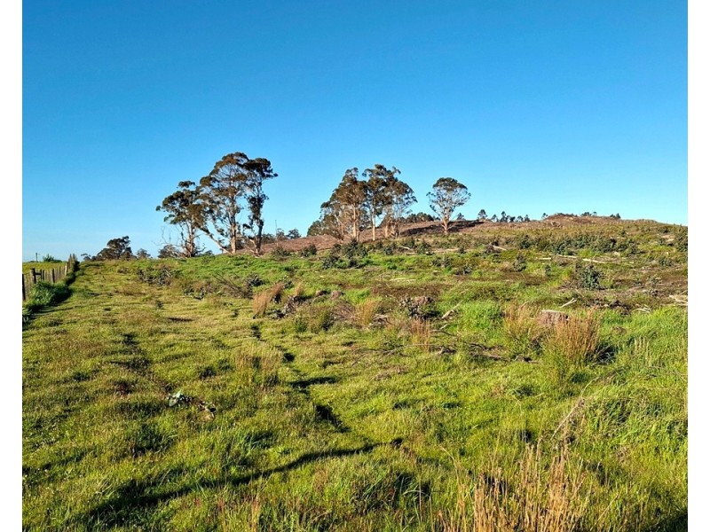 108 Weeks Road, Barrington TAS 7306