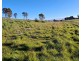 108 Weeks Road, Barrington TAS 7306