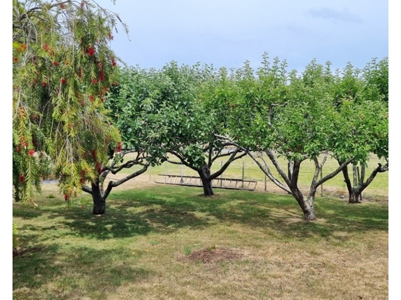 5731 Frankford Road, Wesley Vale TAS 7307