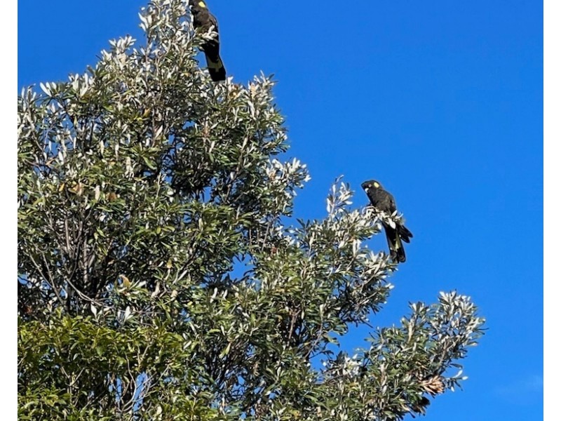 112 David Street, East Devonport TAS 7310