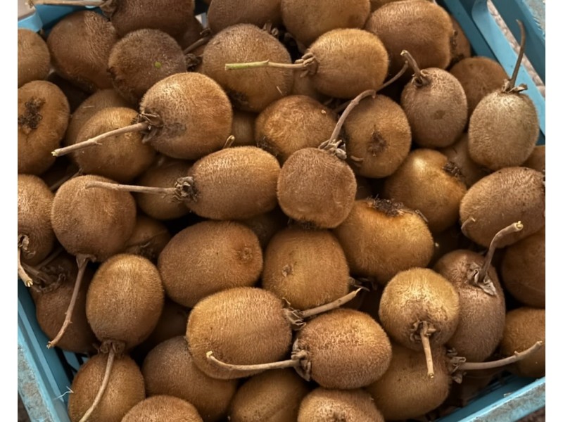 112 David Street, East Devonport TAS 7310