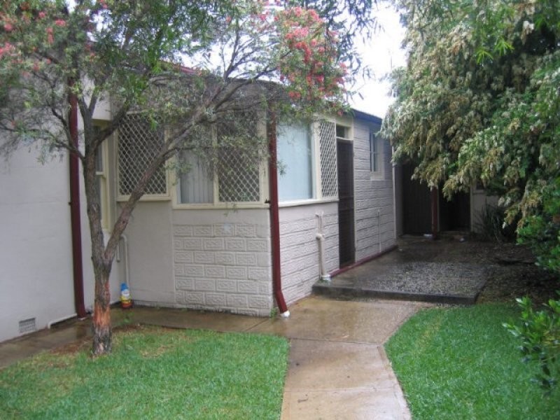 29A Walker Avenue, Haberfield NSW 2045