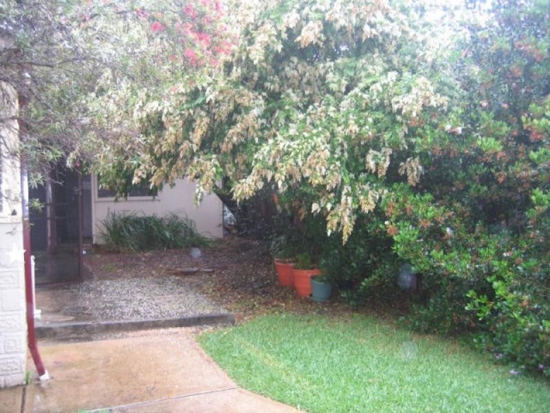 29A Walker Avenue, Haberfield NSW 2045