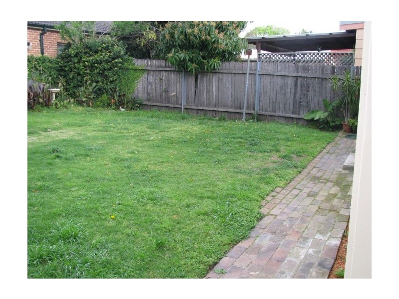 17 Knocklayde Street, Ashfield NSW 2131