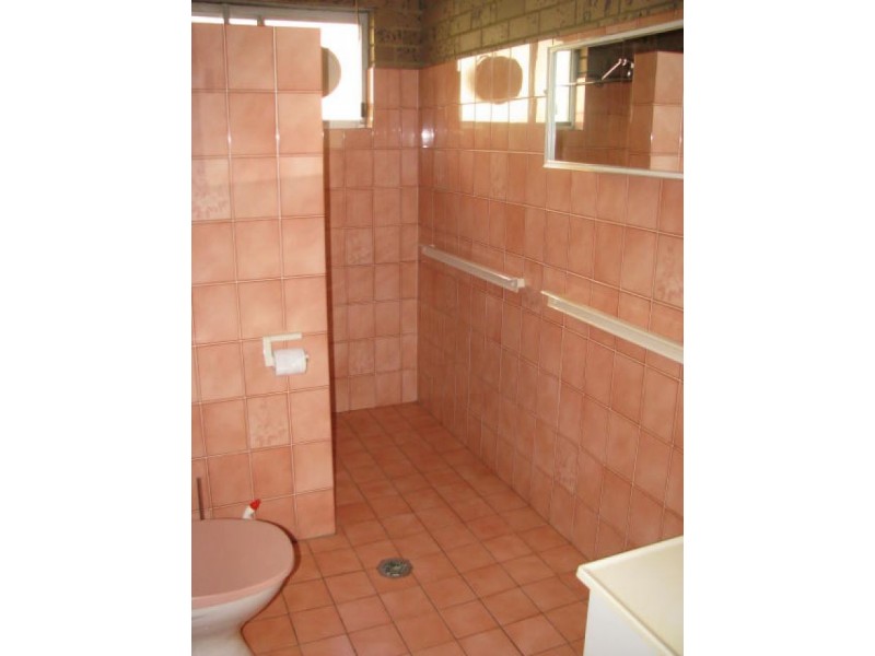 16 Robinson Street, Croydon NSW 2132