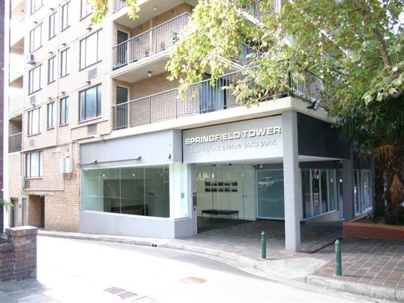 301/2 Springfield Street, Potts Point NSW 2011
