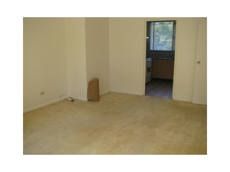 5/114 Frederick Street, Ashfield NSW 2131
