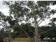 29/506-512 Pacific Highway, Artarmon NSW 2064