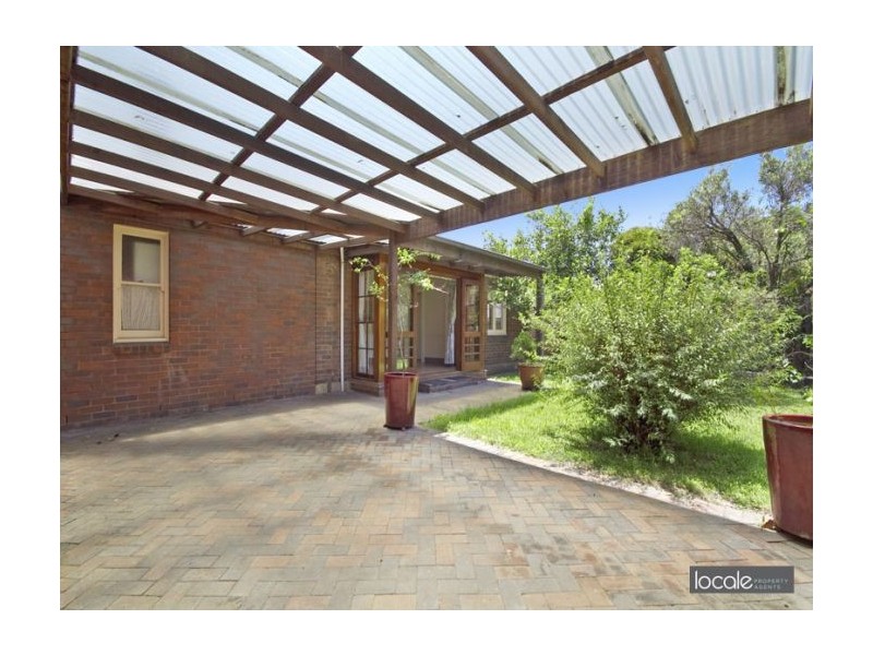 13 Knocklayde Street, Ashfield NSW 2131
