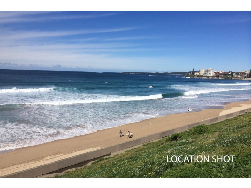 8/99 Elouera Road, Cronulla NSW 2230