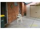 1/43 Alick Street, Belmont NSW 2280