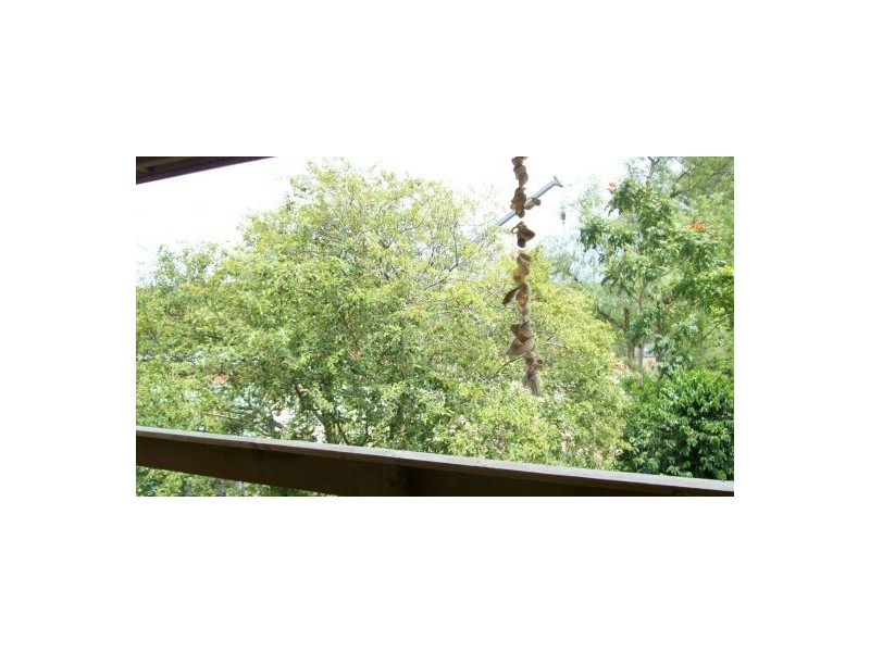 1/34 Violet Town Road, Tingira Heights NSW 2290