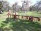 Geurie NSW 2831