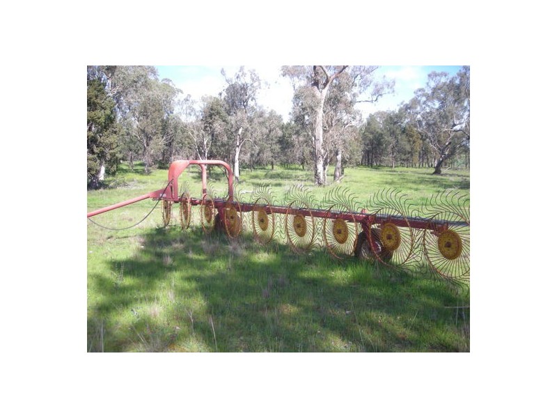 Geurie NSW 2831