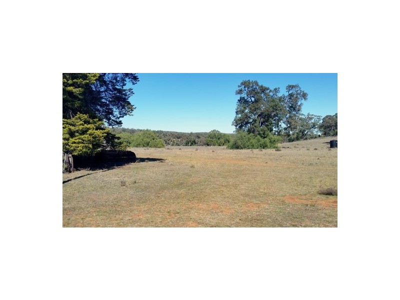 Gilgandra NSW 2827