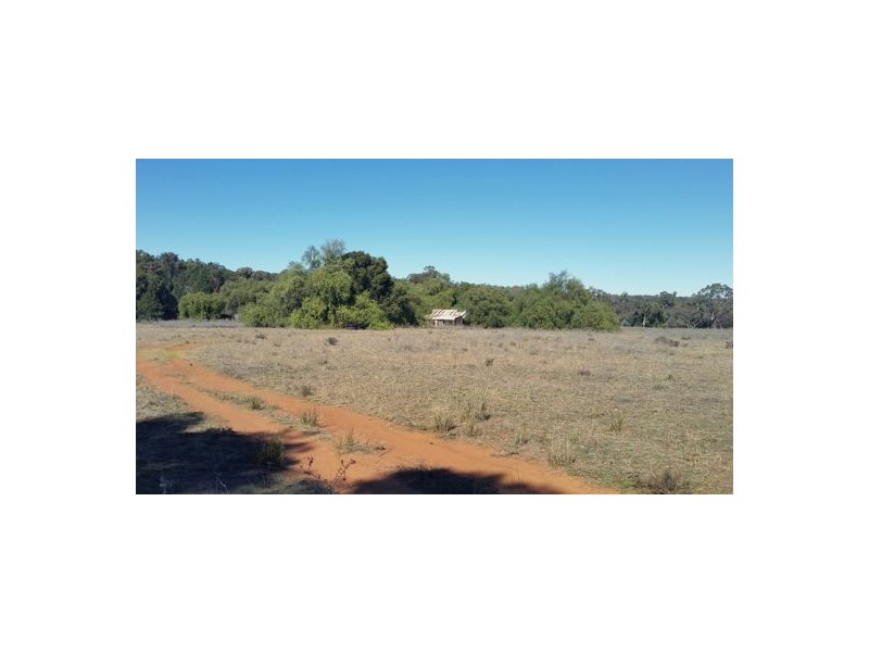 Gilgandra NSW 2827