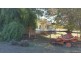 Gilgandra NSW 2827