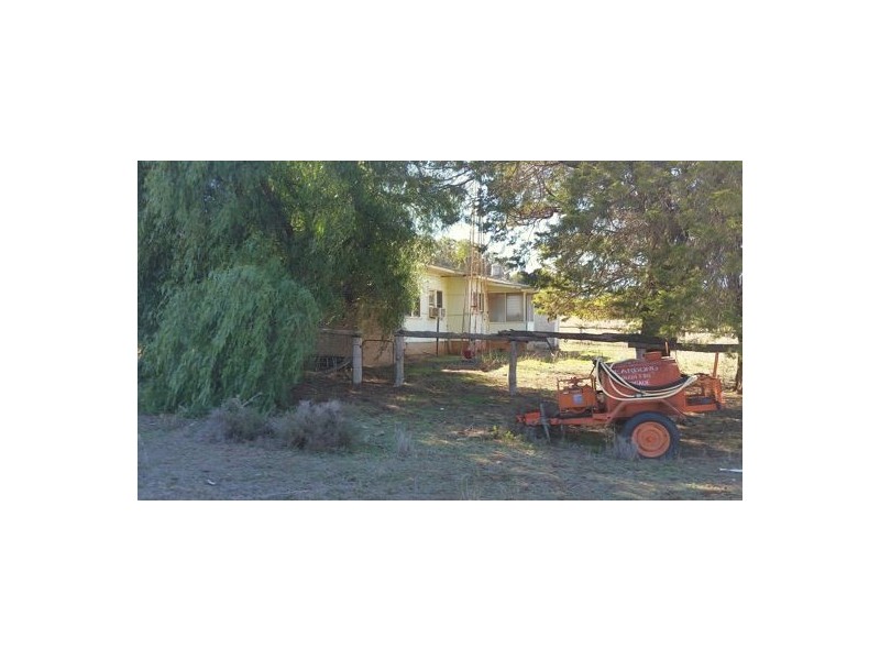 Gilgandra NSW 2827